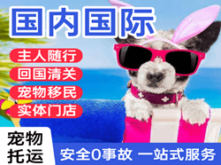延吉航空邮寄国际宠物托运 【国